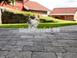 Asak Akershusstein Gr�mix