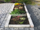 Granitt Kantstein 8x20 Prikkmeislet